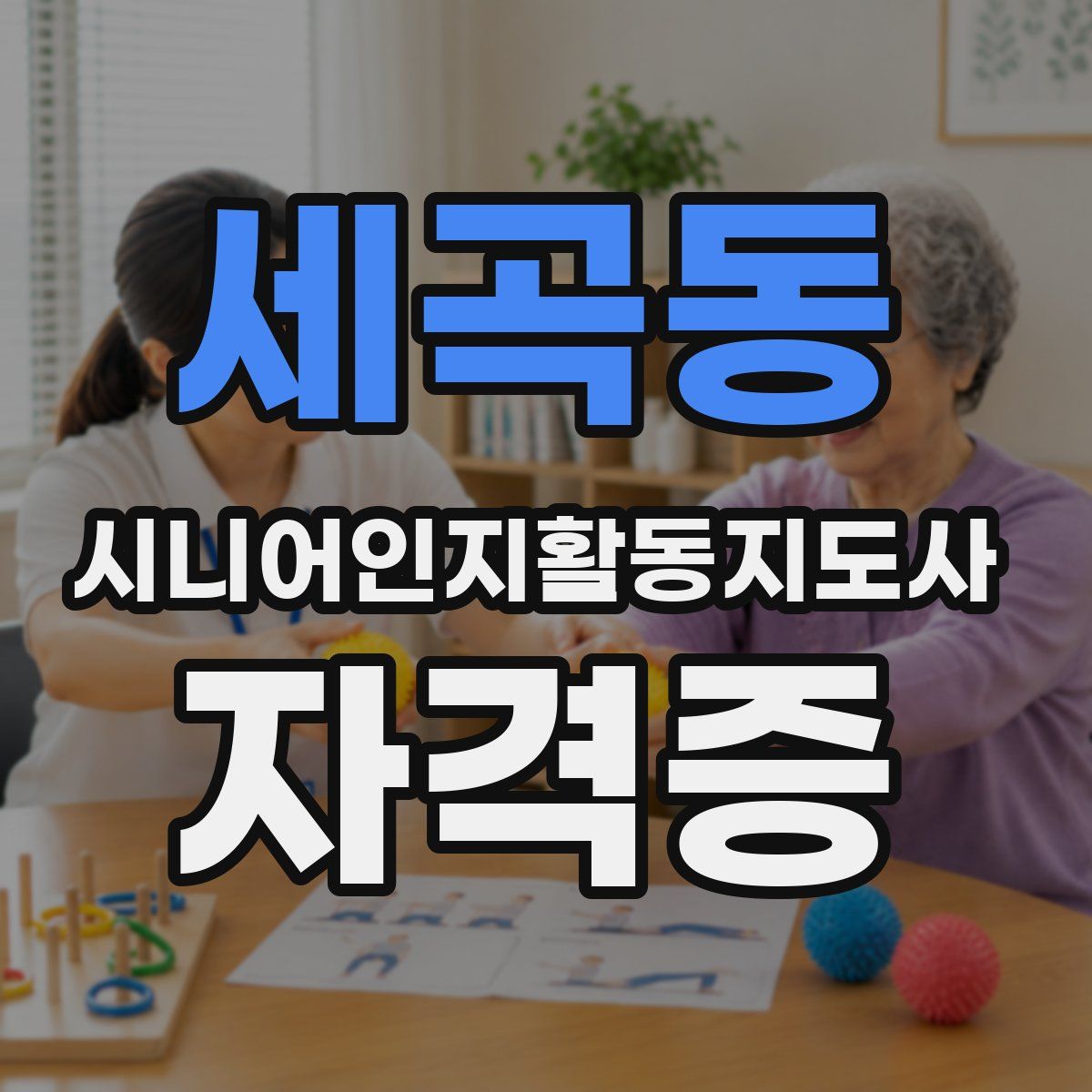 세곡동 시니어인지활동지도사 자격증