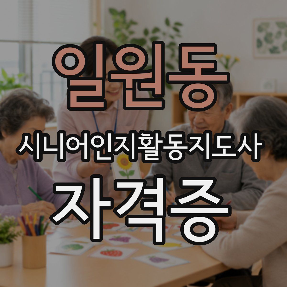 일원동 시니어인지활동지도사 자격증