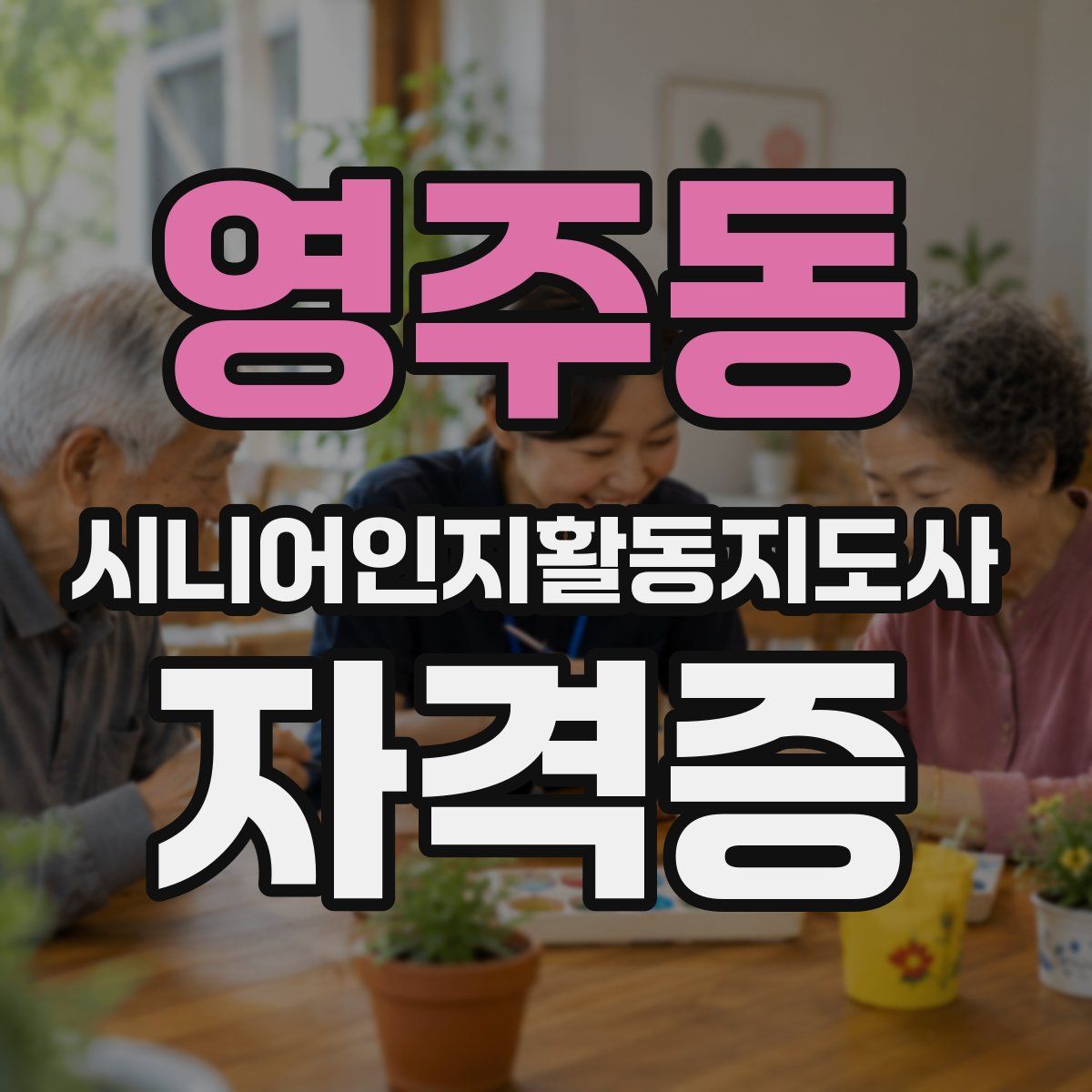 영주동 시니어인지활동지도사 자격증