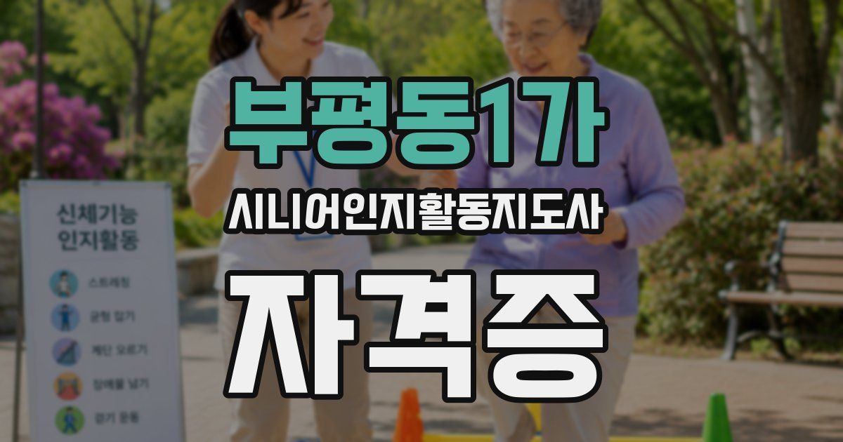 부평동1가 시니어인지활동지도사 자격증