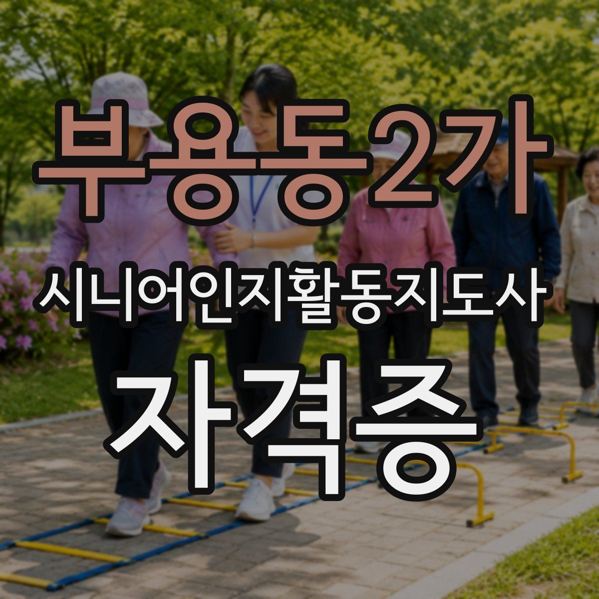 부용동2가 시니어인지활동지도사 자격증