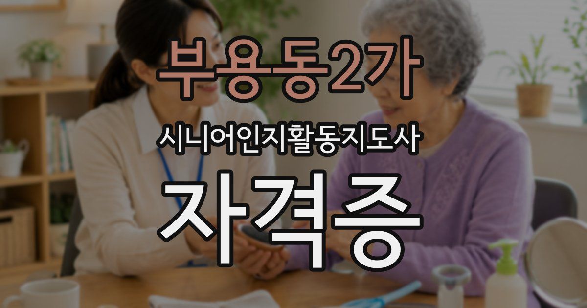 부용동2가 시니어인지활동지도사 자격증