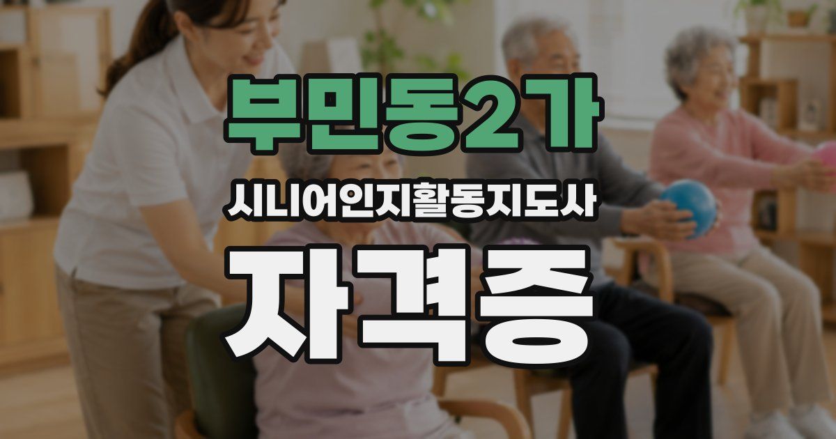 부민동2가 시니어인지활동지도사 자격증