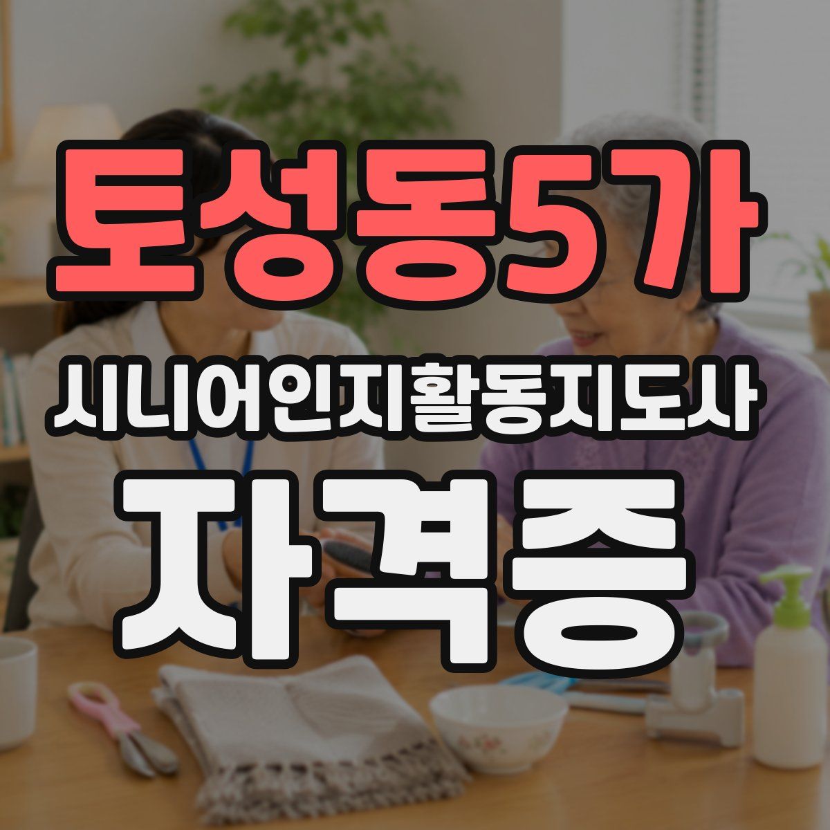 토성동5가 시니어인지활동지도사 자격증