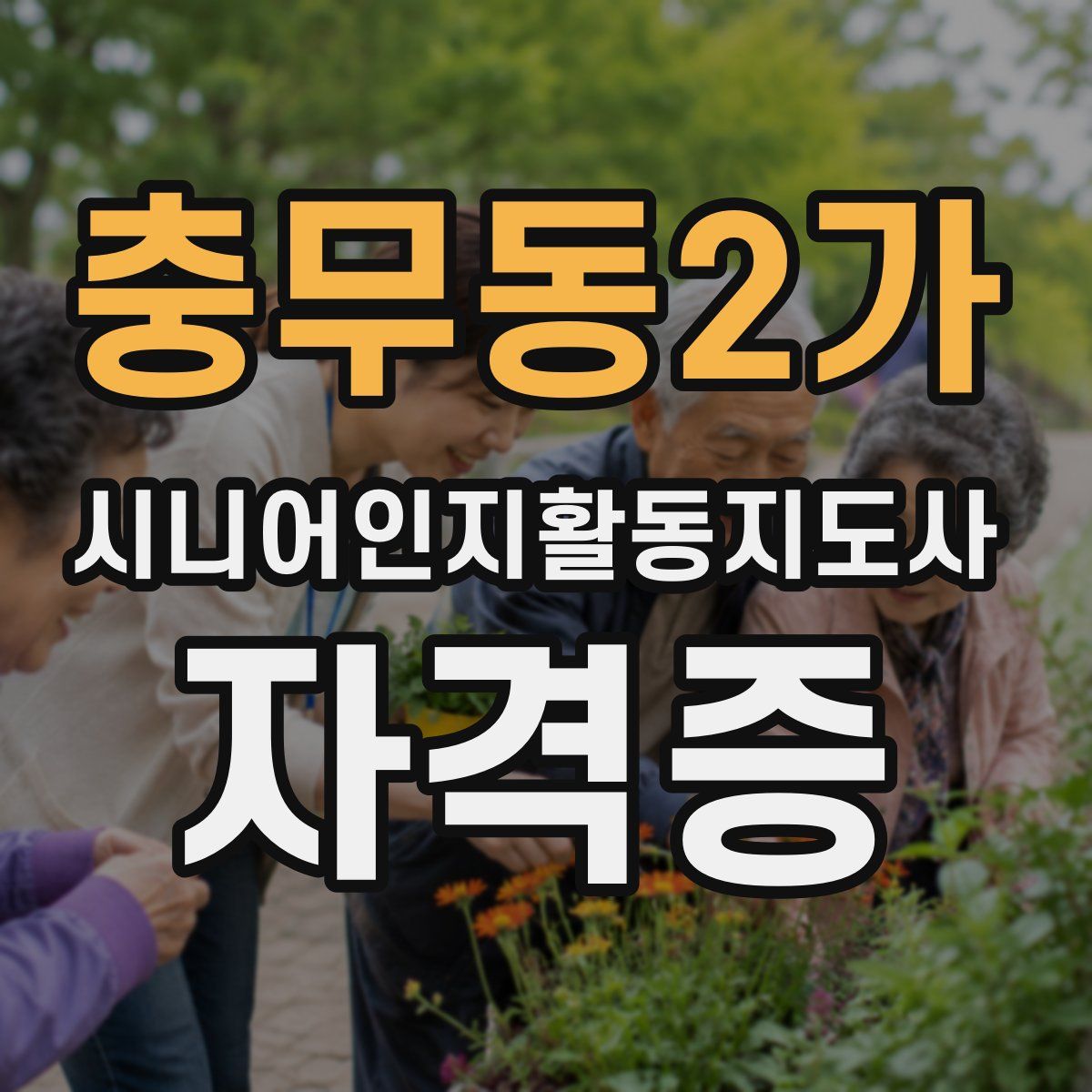 충무동2가 시니어인지활동지도사 자격증