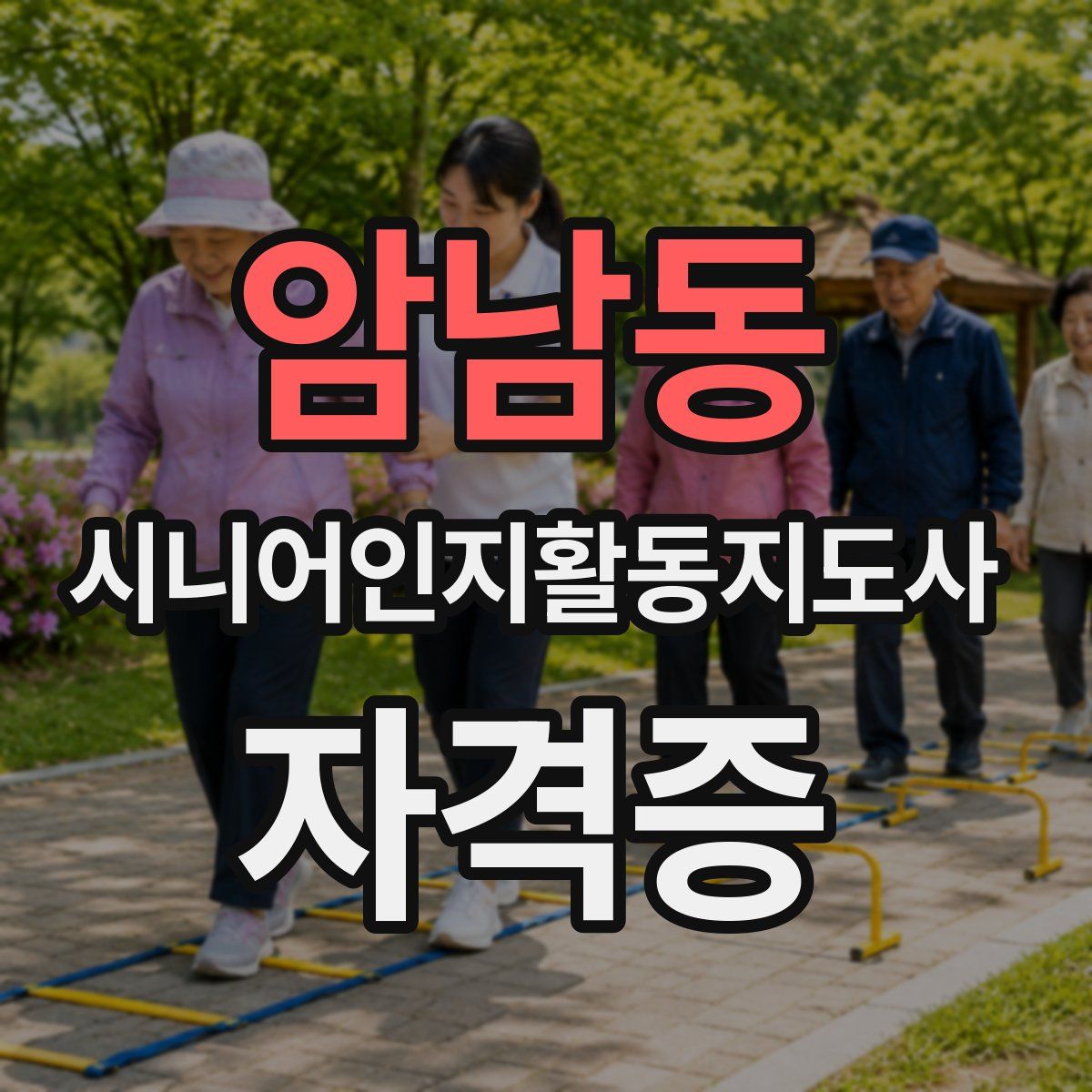 암남동 시니어인지활동지도사 자격증