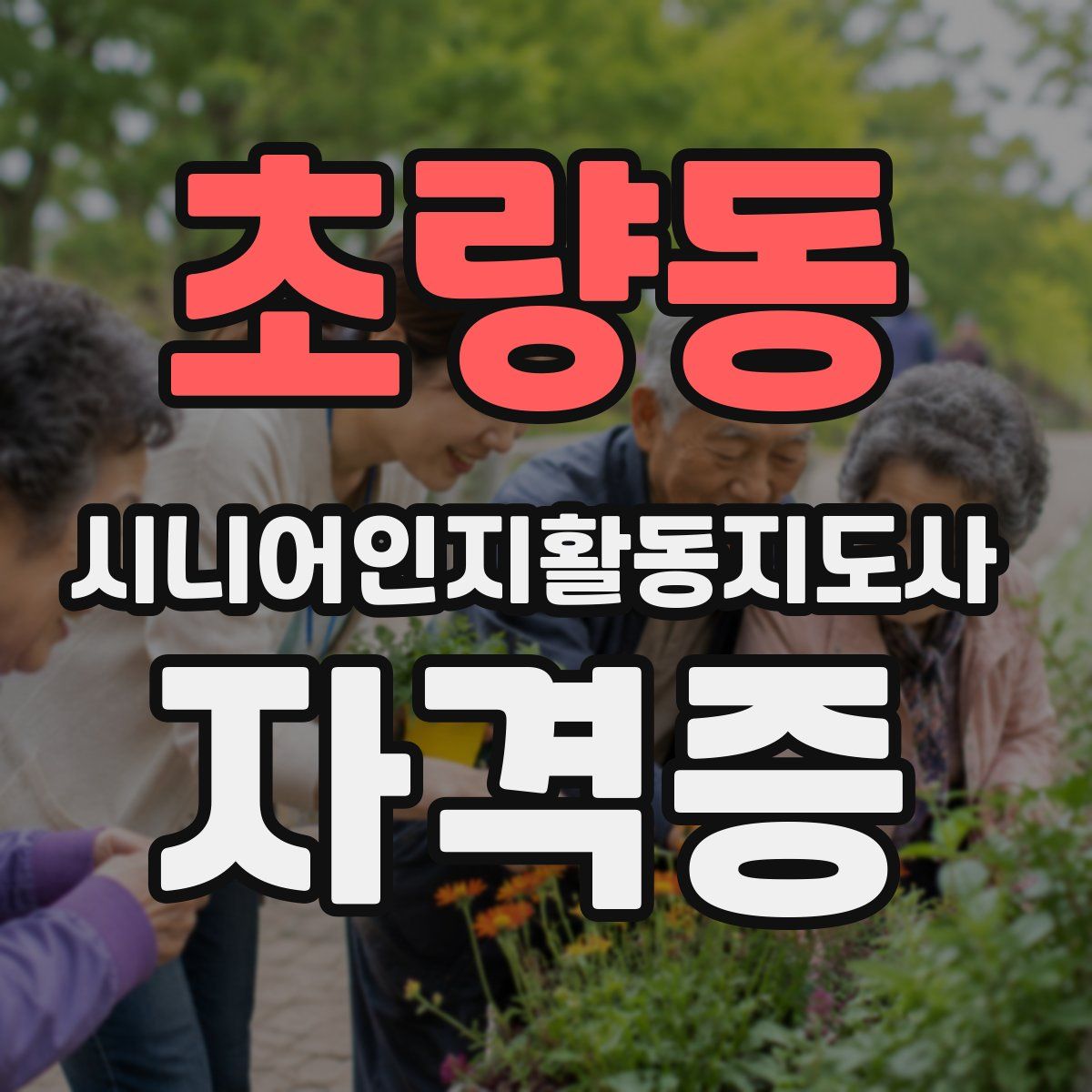 초량동 시니어인지활동지도사 자격증