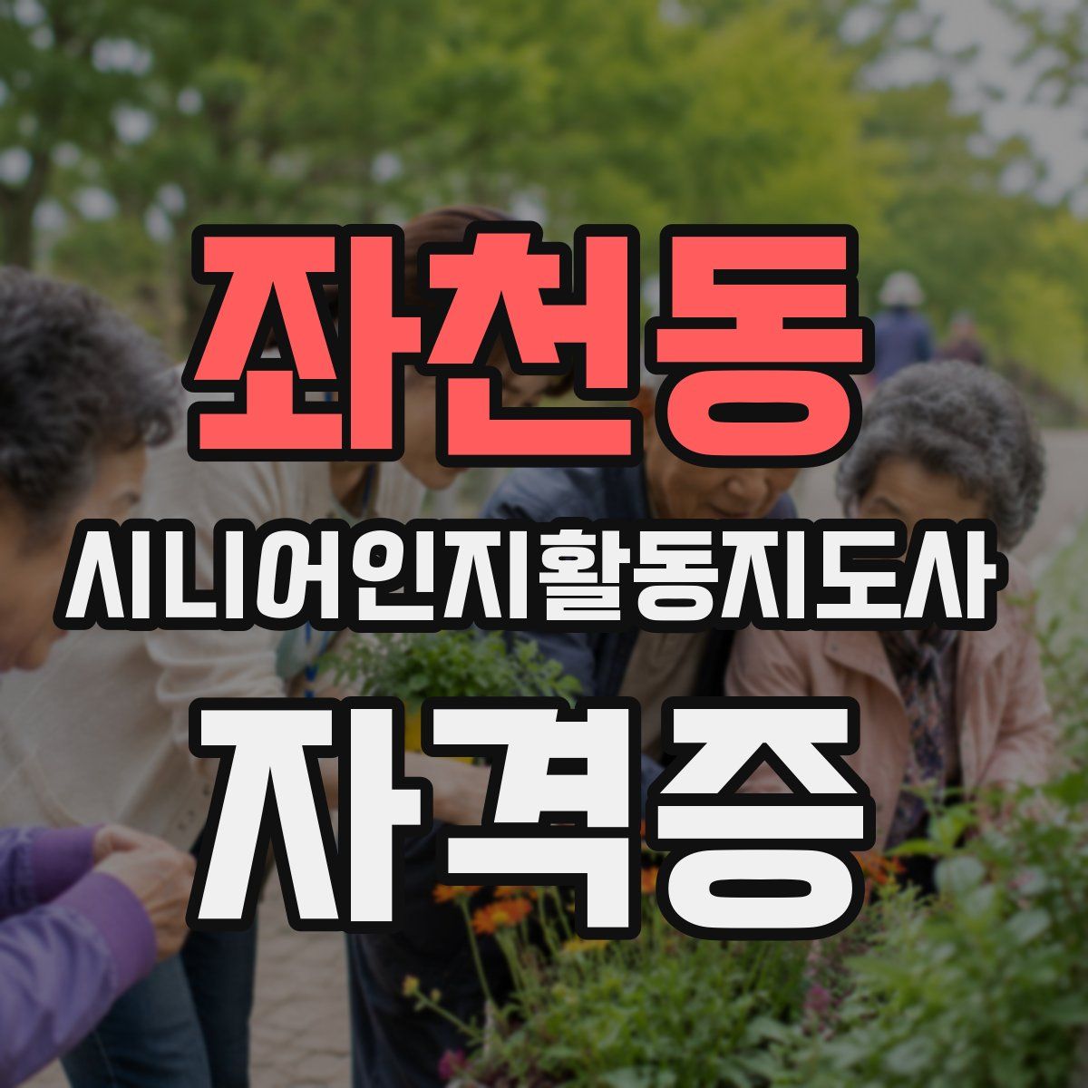 좌천동 시니어인지활동지도사 자격증