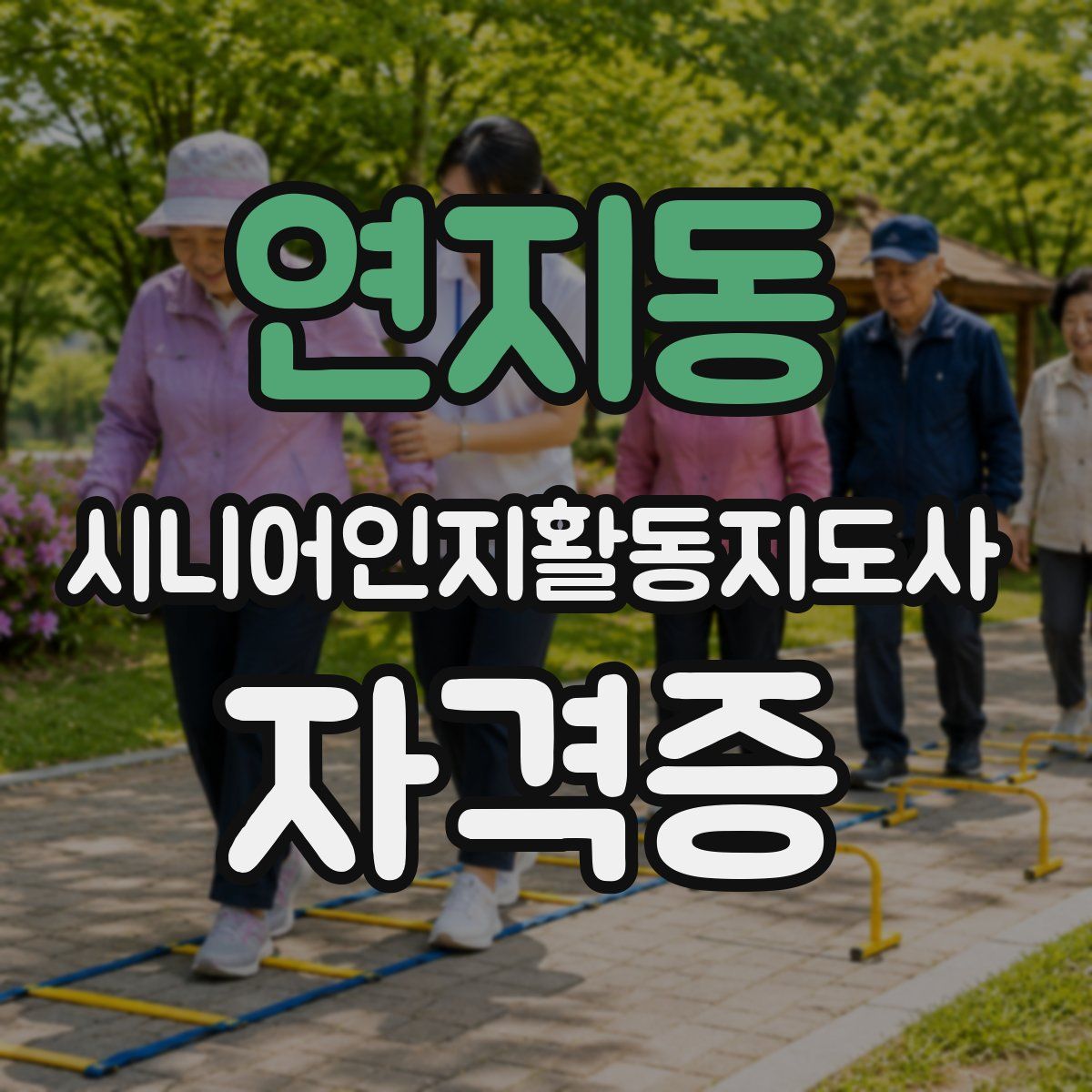 연지동 시니어인지활동지도사 자격증