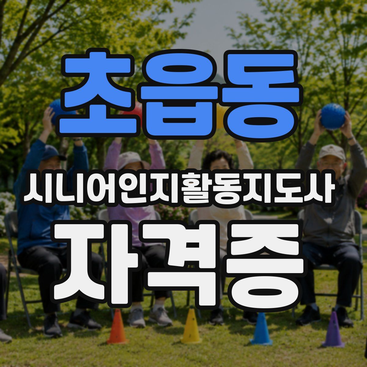 초읍동 시니어인지활동지도사 자격증