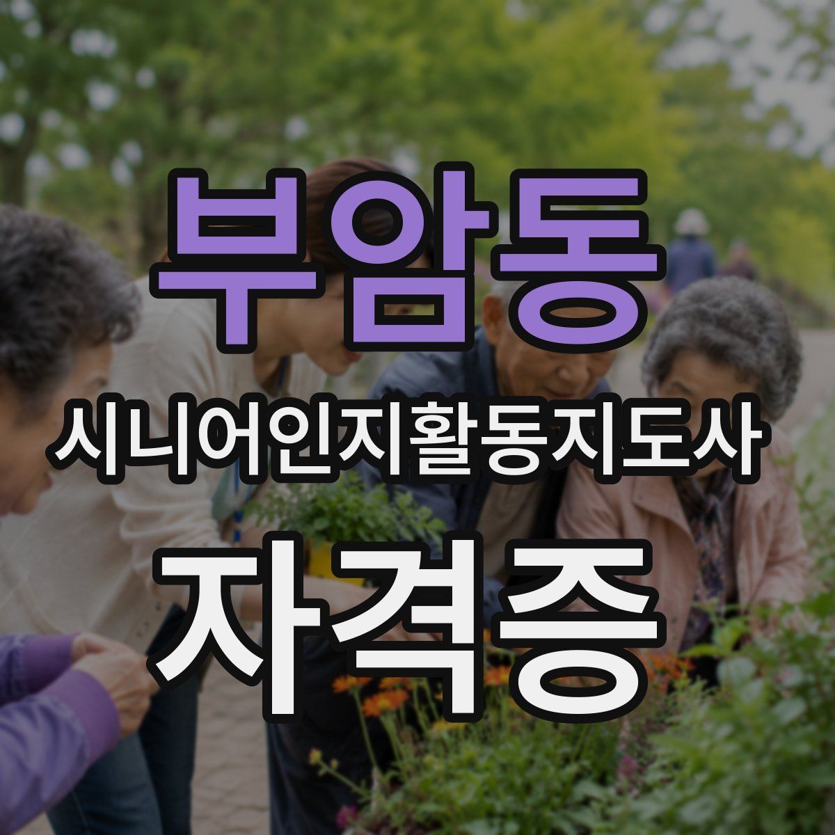 부암동 시니어인지활동지도사 자격증