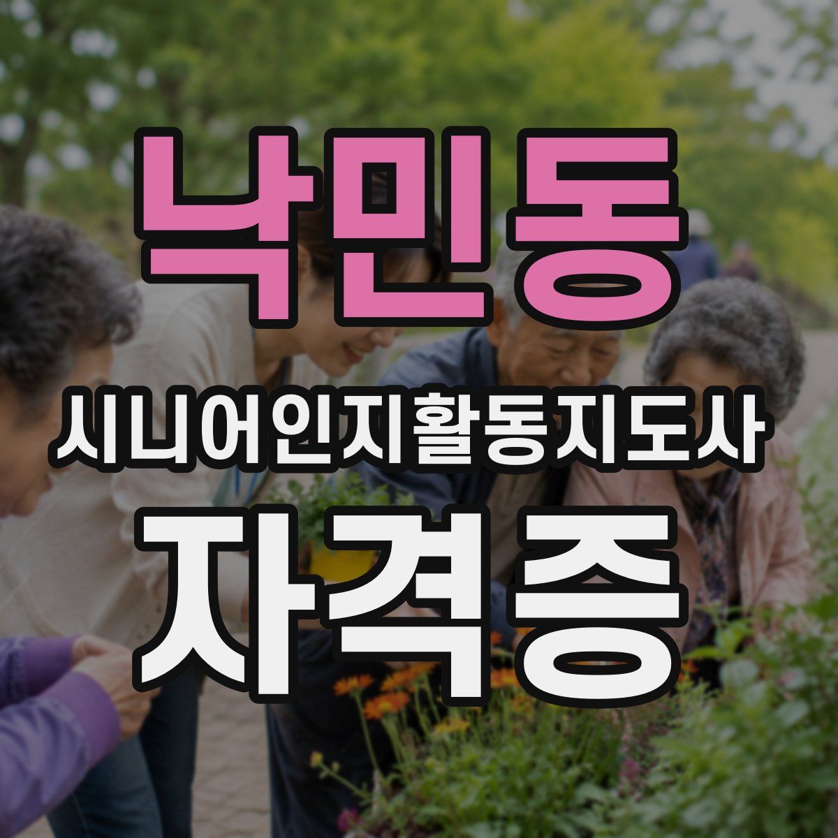 낙민동 시니어인지활동지도사 자격증