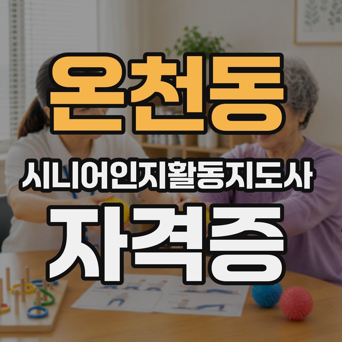온천동 시니어인지활동지도사 자격증