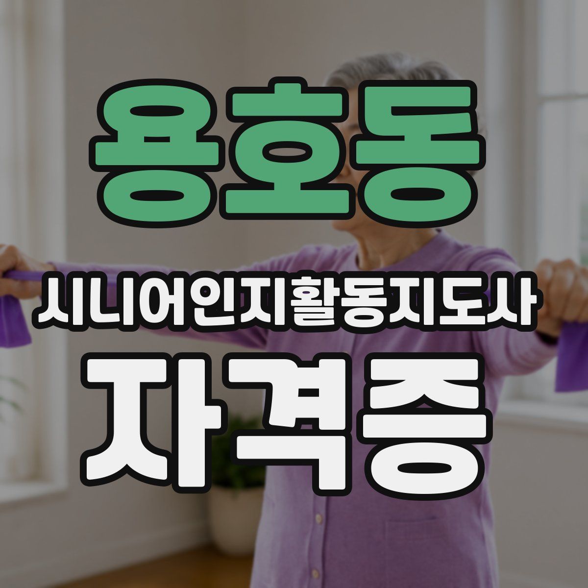 용호동 시니어인지활동지도사 자격증