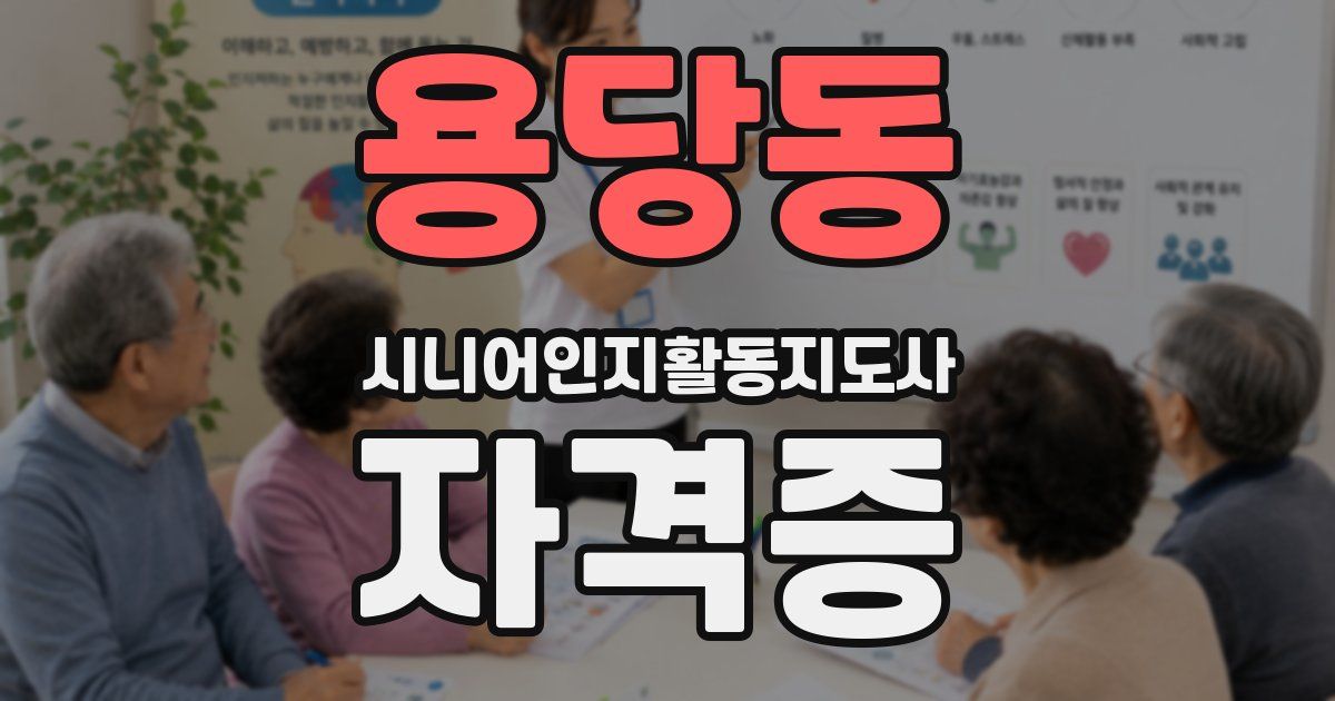 용당동 시니어인지활동지도사 자격증