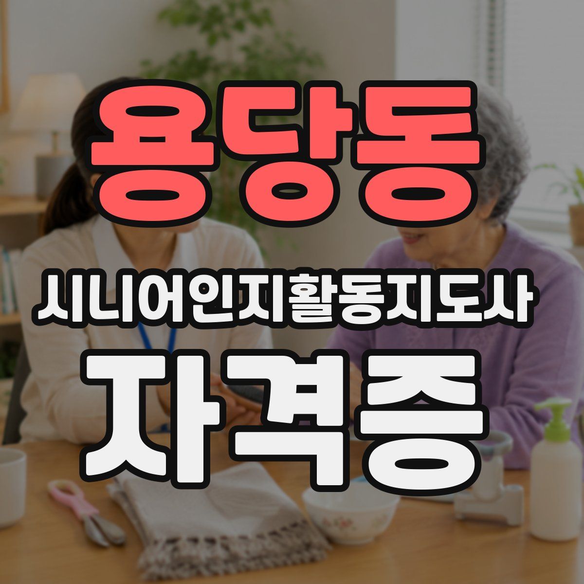 용당동 시니어인지활동지도사 자격증