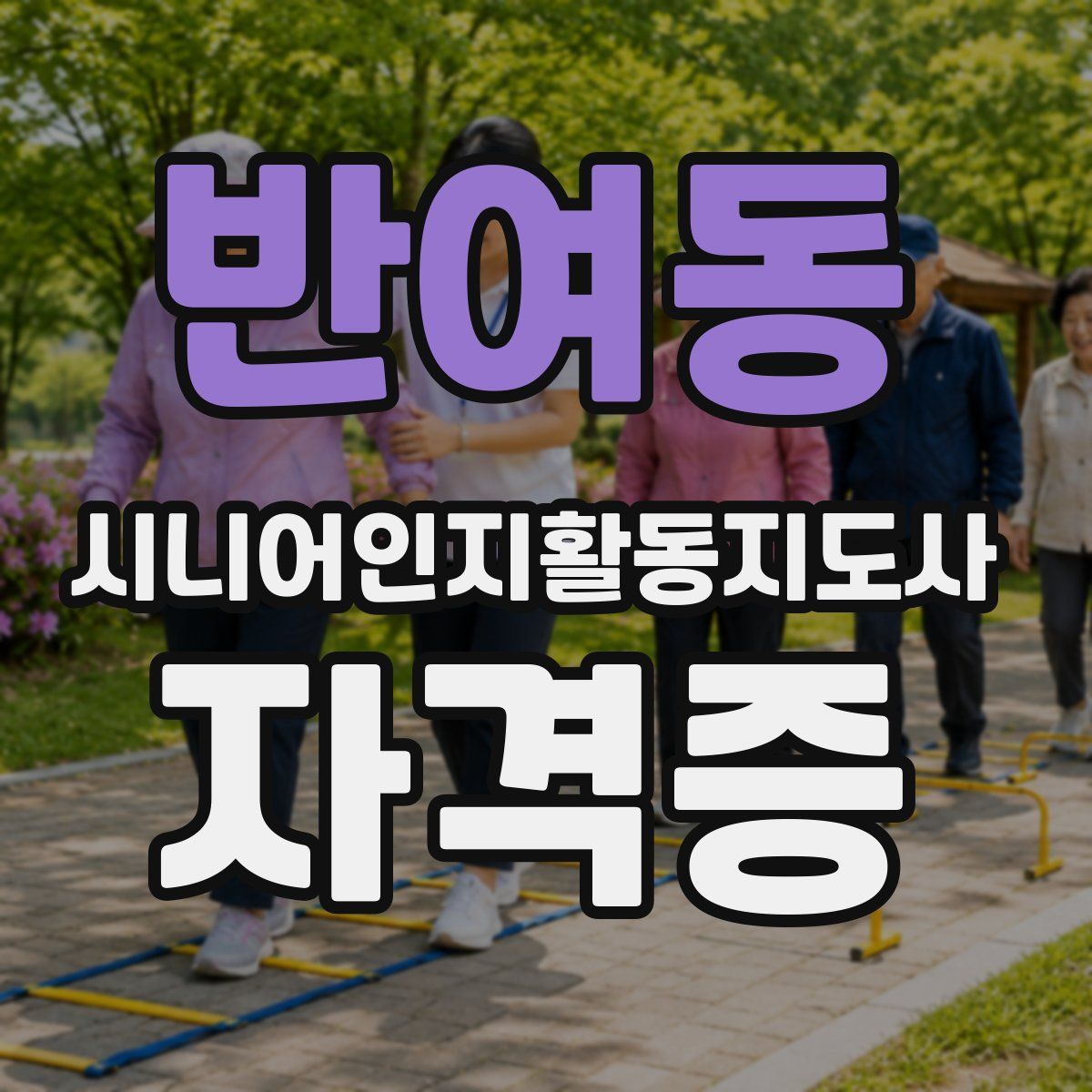 반여동 시니어인지활동지도사 자격증