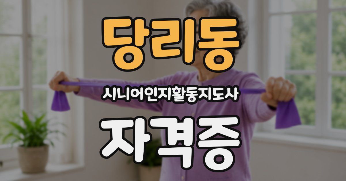 당리동 시니어인지활동지도사 자격증