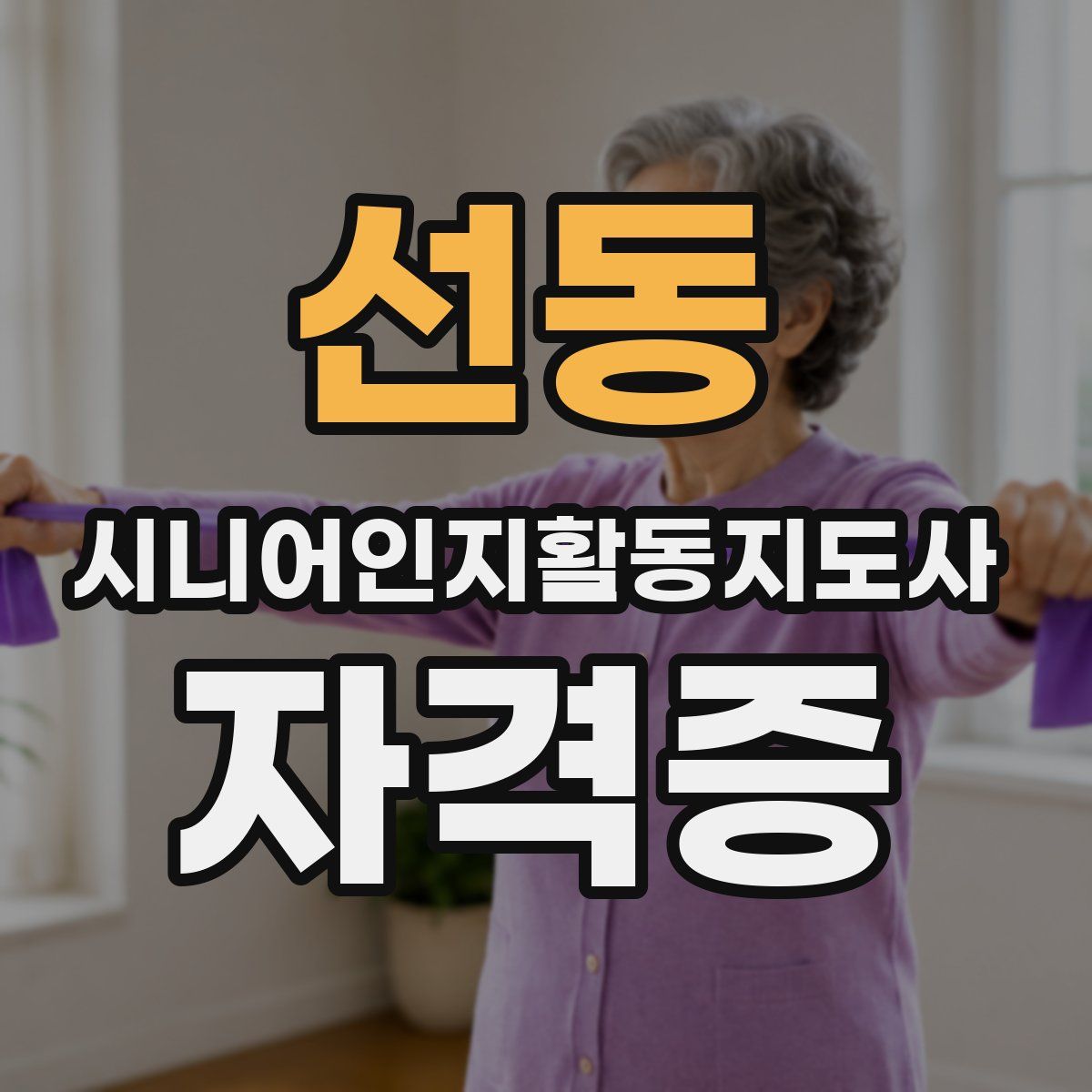 선동 시니어인지활동지도사 자격증