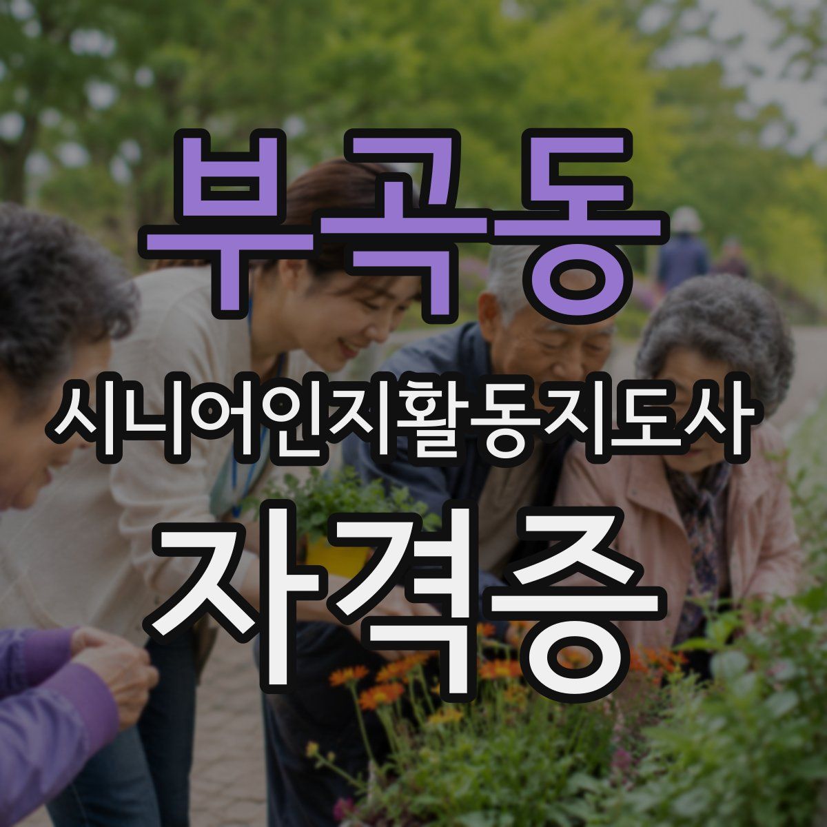 부곡동 시니어인지활동지도사 자격증