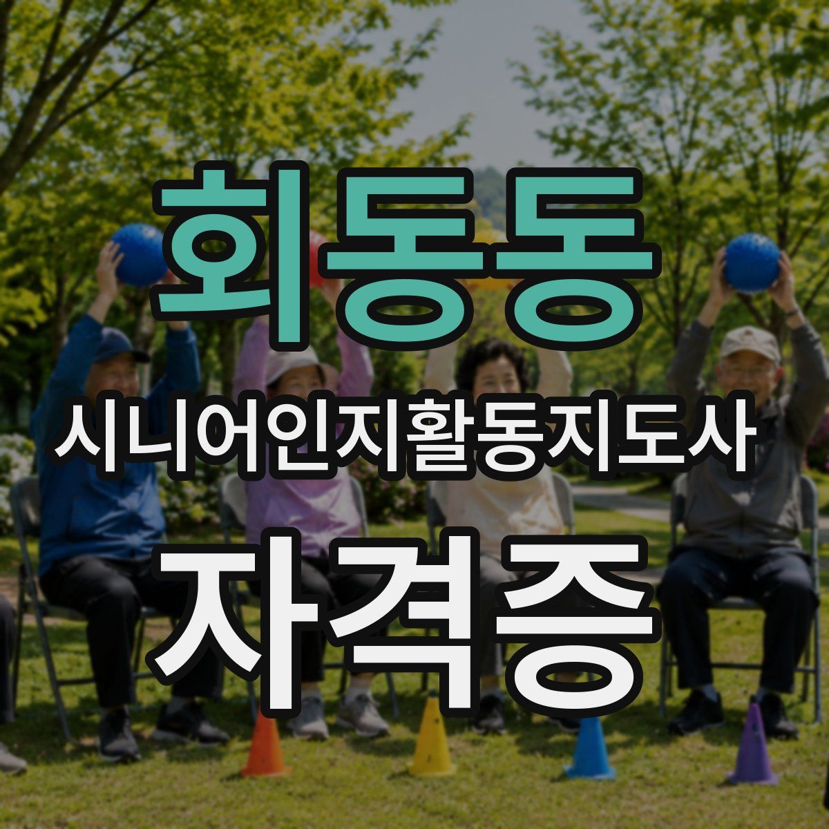 회동동 시니어인지활동지도사 자격증