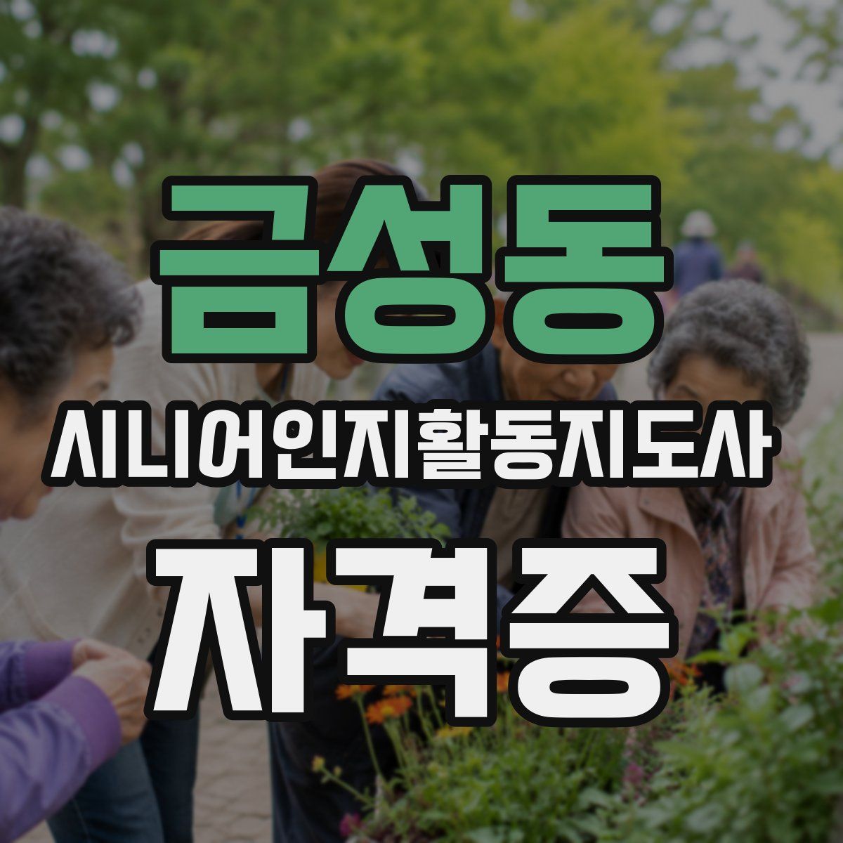 금성동 시니어인지활동지도사 자격증