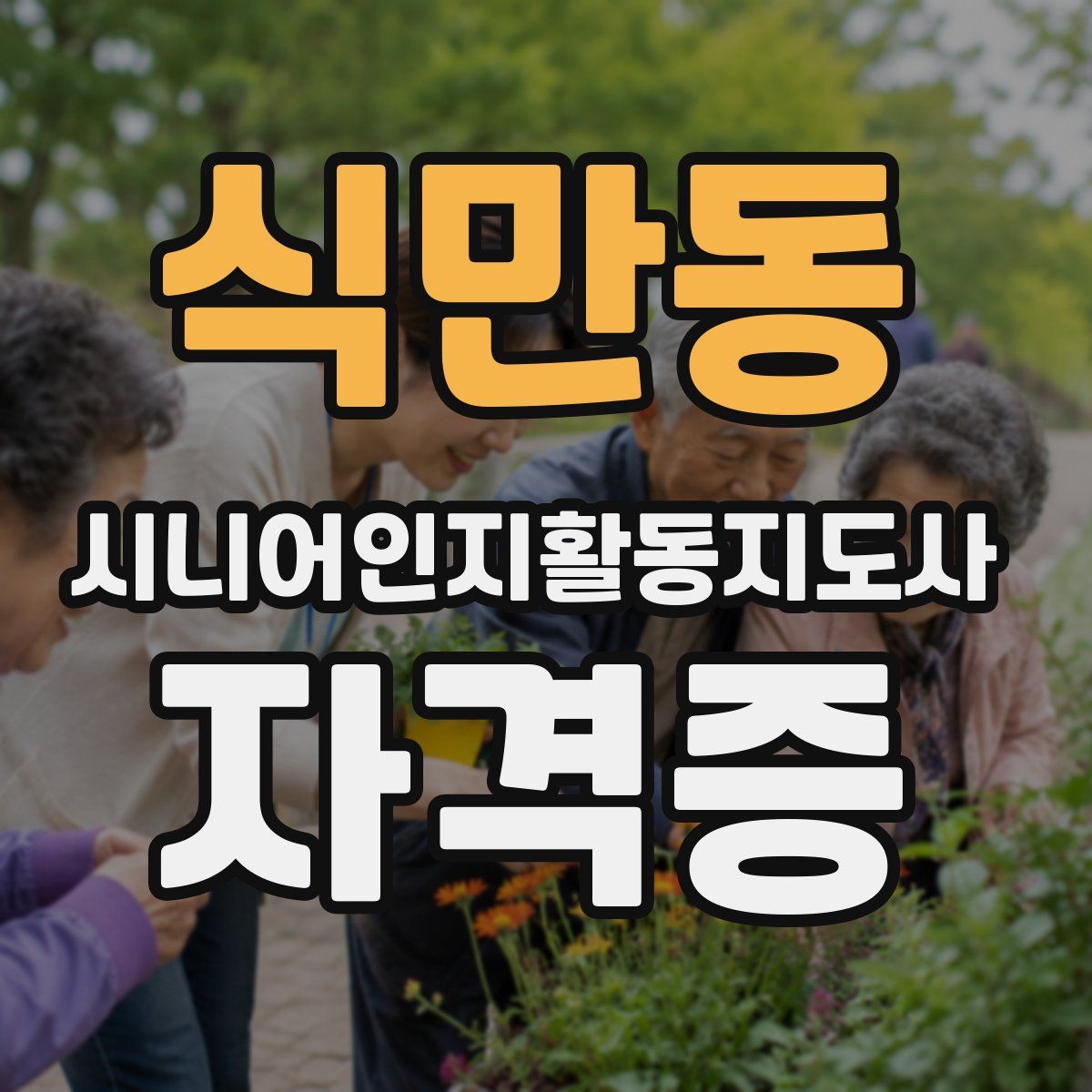 식만동 시니어인지활동지도사 자격증