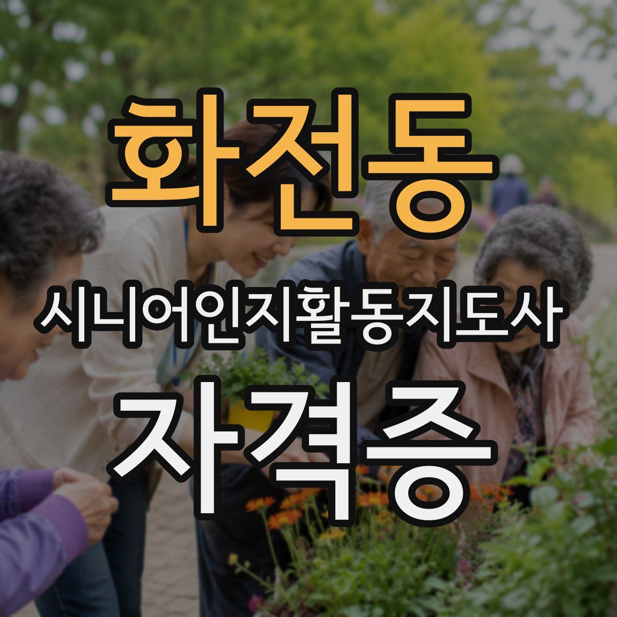화전동 시니어인지활동지도사 자격증