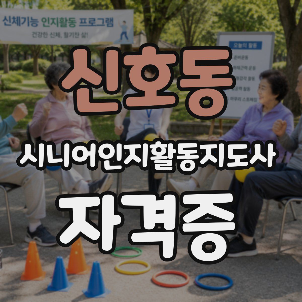 신호동 시니어인지활동지도사 자격증