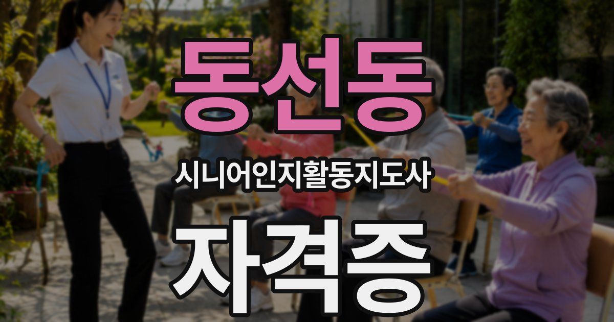 동선동 시니어인지활동지도사 자격증