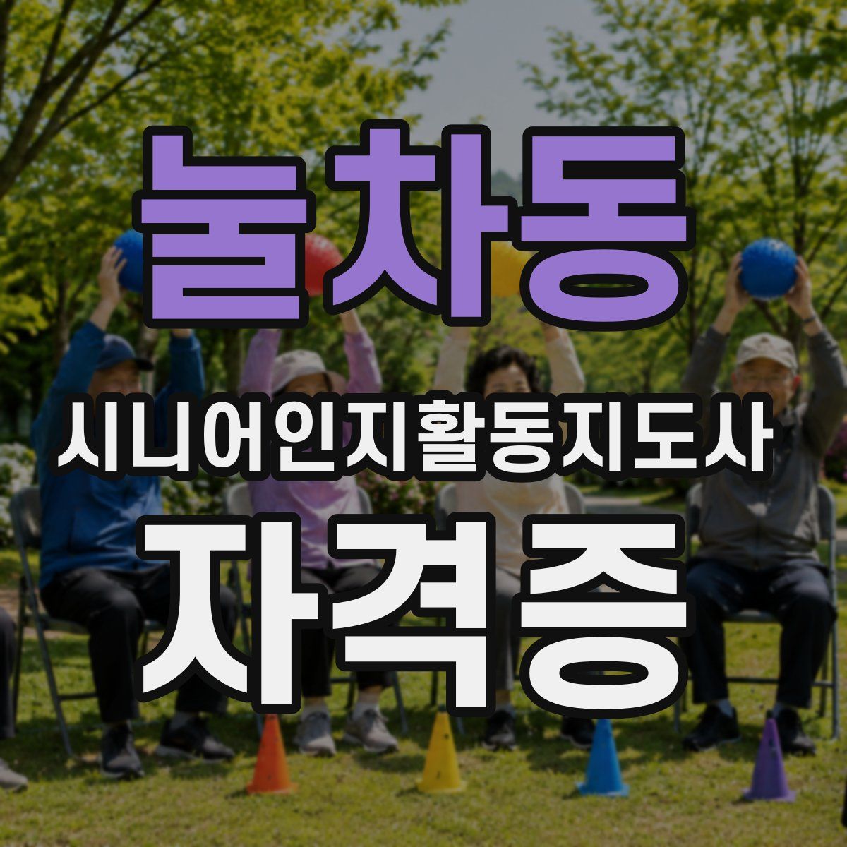 눌차동 시니어인지활동지도사 자격증