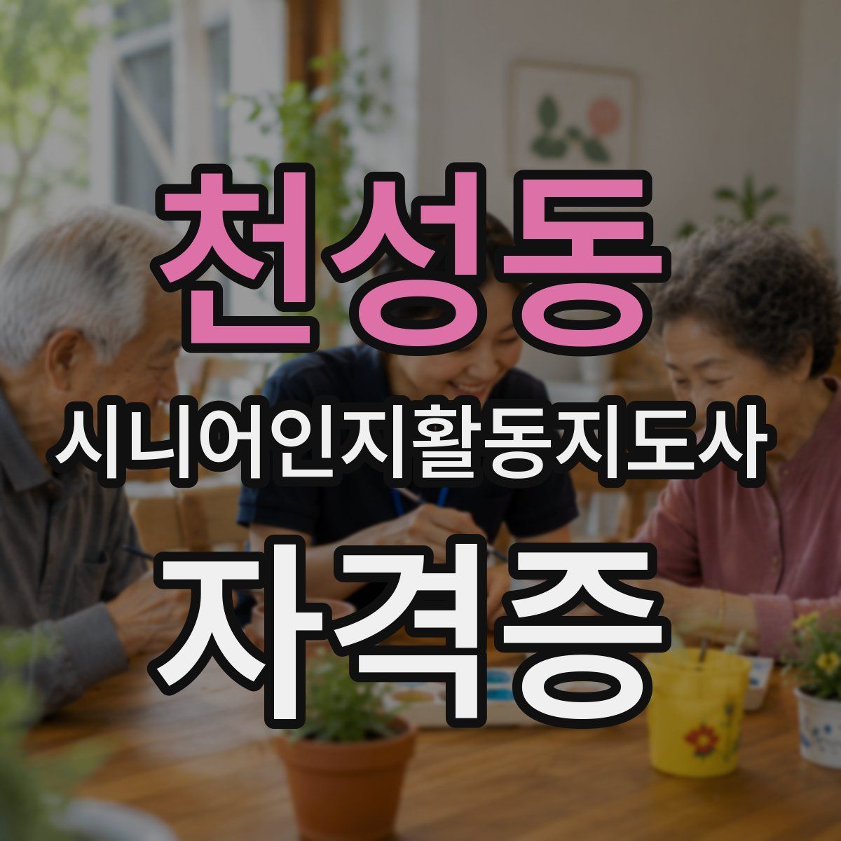 천성동 시니어인지활동지도사 자격증