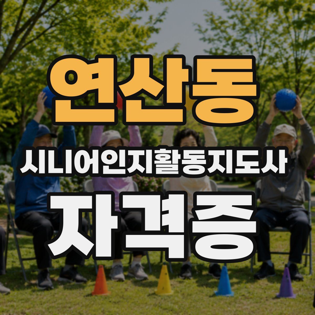 연산동 시니어인지활동지도사 자격증