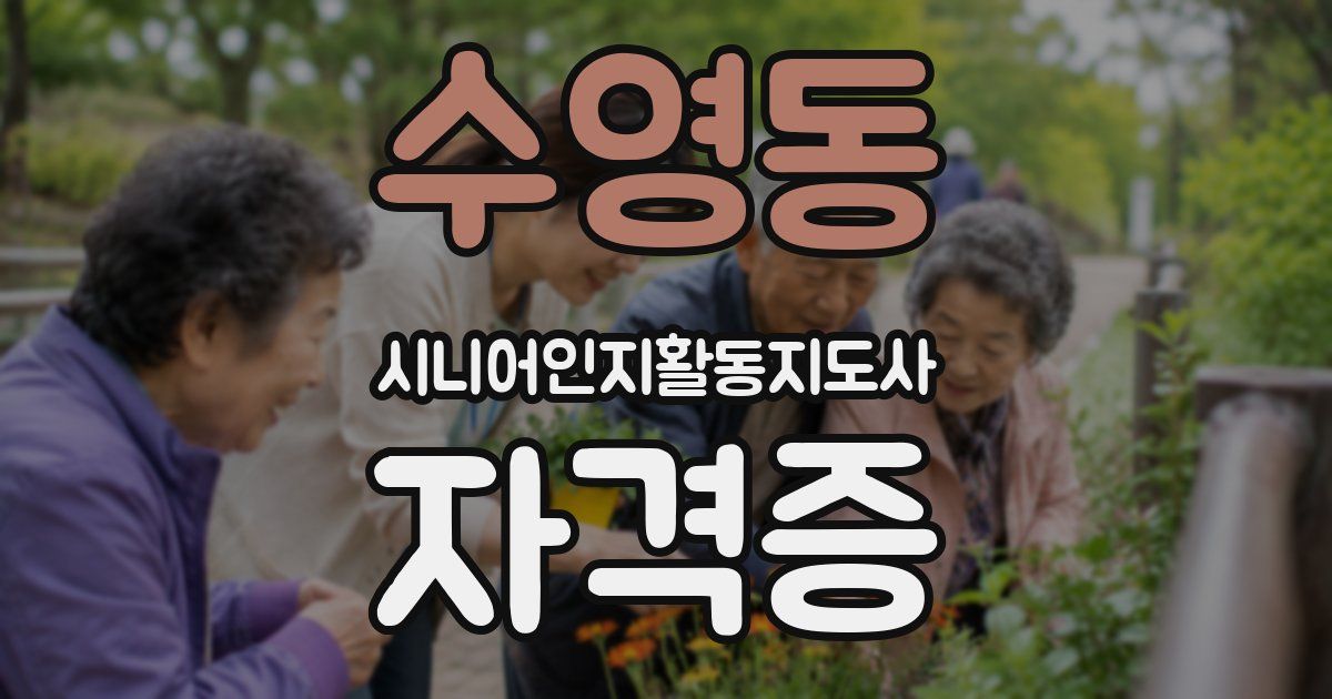 수영동 시니어인지활동지도사 자격증