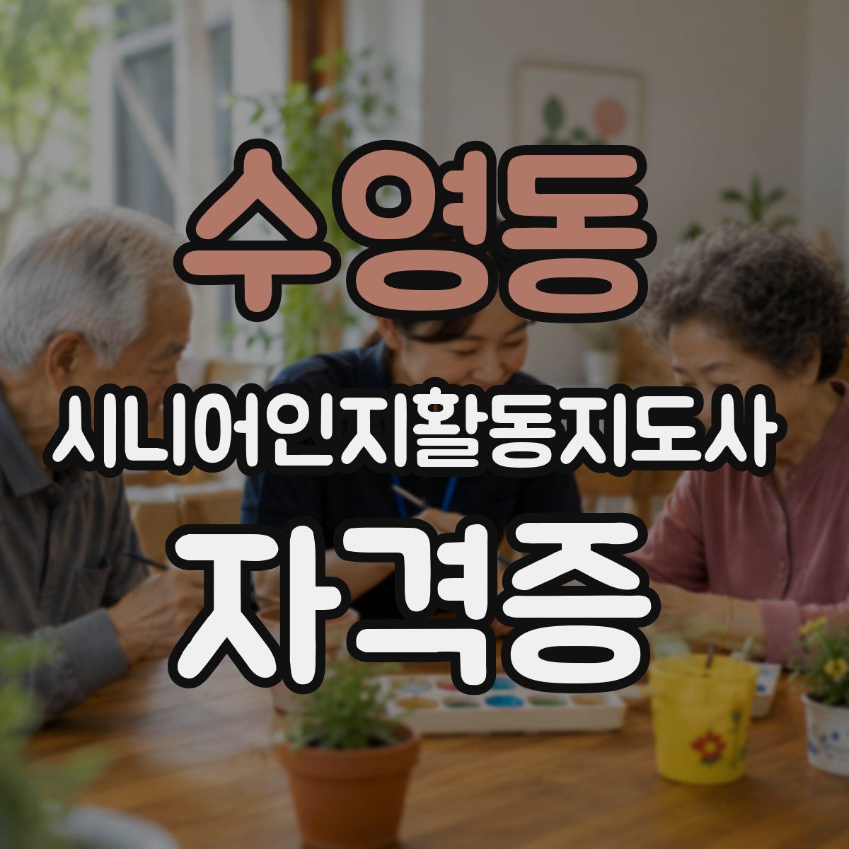 수영동 시니어인지활동지도사 자격증