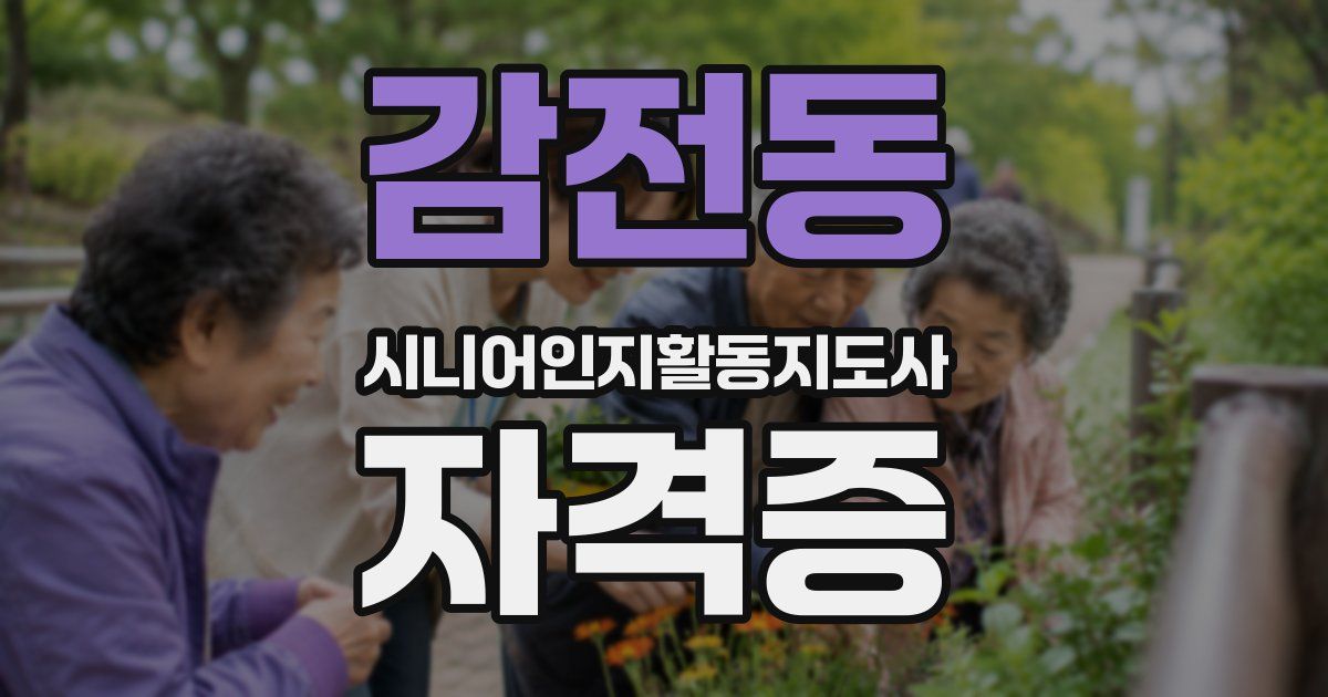 감전동 시니어인지활동지도사 자격증