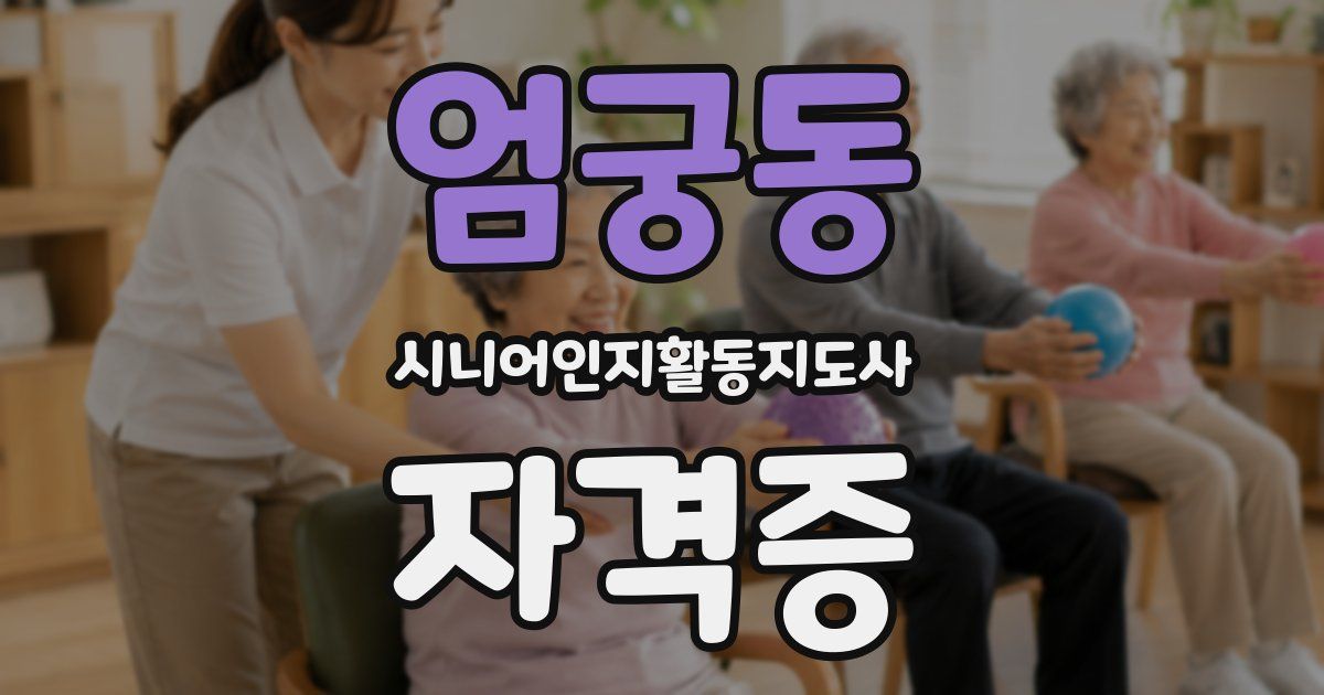 엄궁동 시니어인지활동지도사 자격증