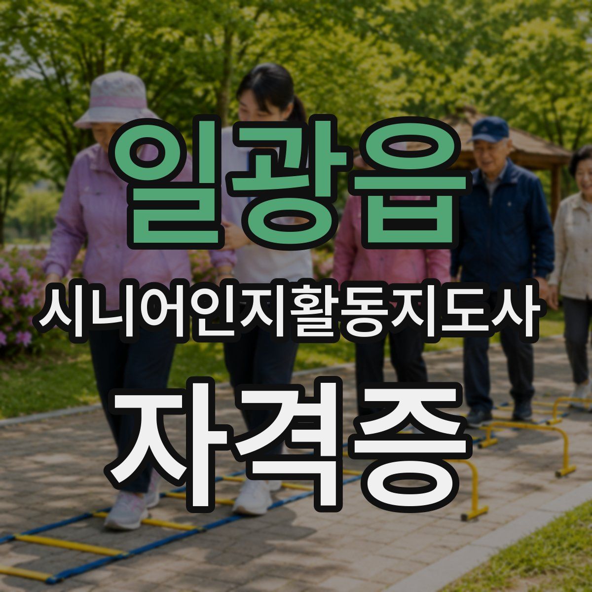 일광읍 시니어인지활동지도사 자격증