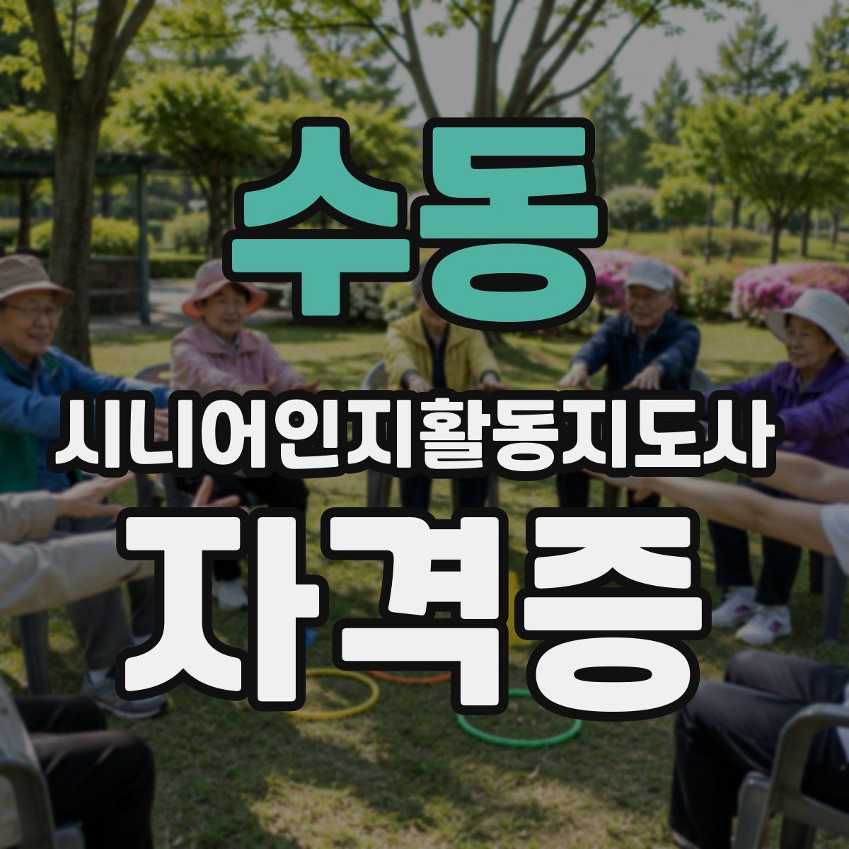 수동 시니어인지활동지도사 자격증