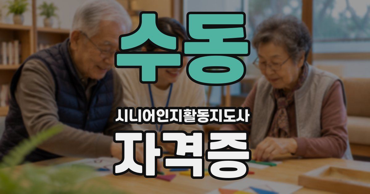 수동 시니어인지활동지도사 자격증