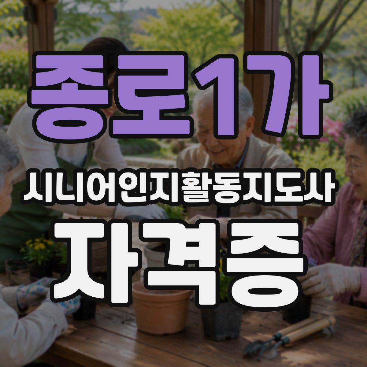 종로1가 시니어인지활동지도사 자격증