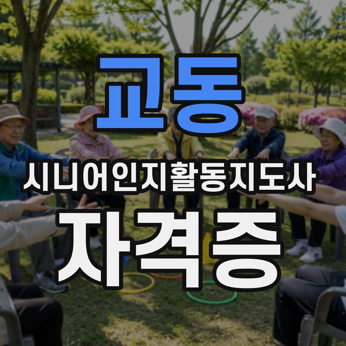 교동 시니어인지활동지도사 자격증