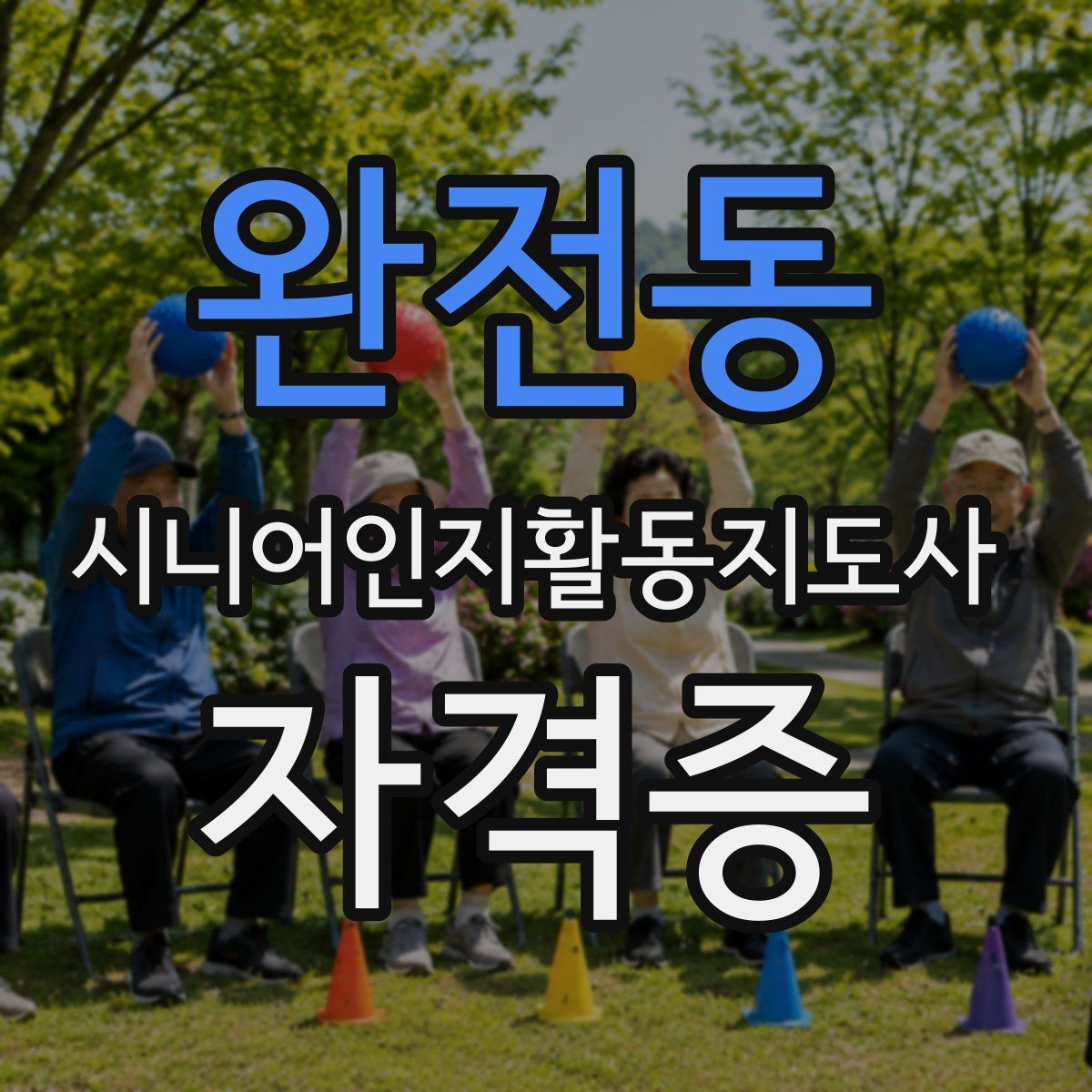 완전동 시니어인지활동지도사 자격증