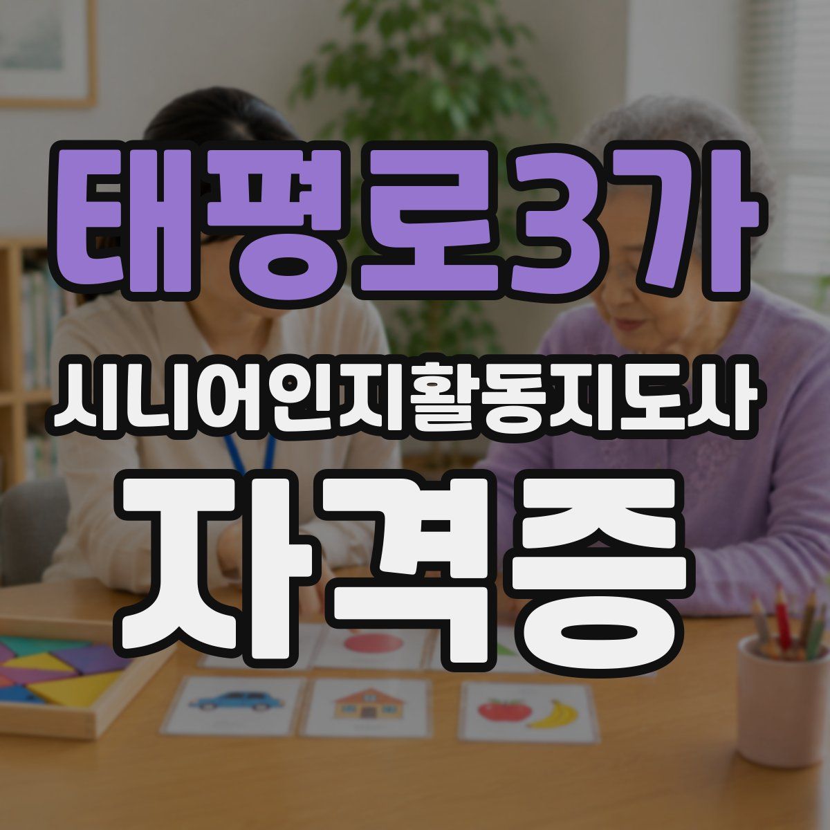 태평로3가 시니어인지활동지도사 자격증