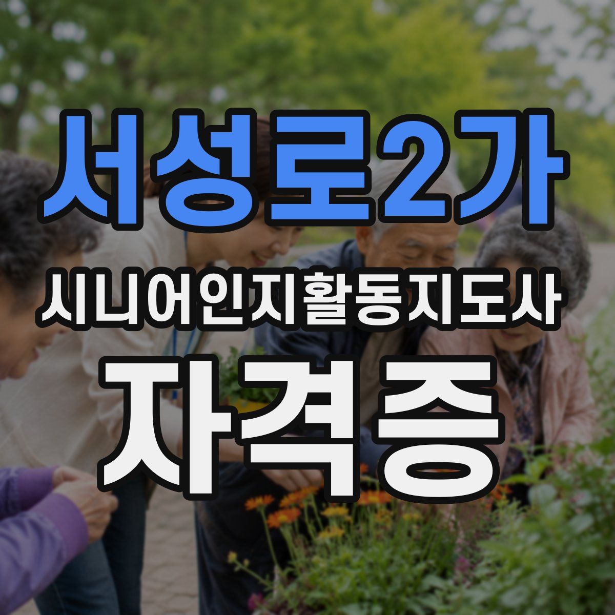 서성로2가 시니어인지활동지도사 자격증