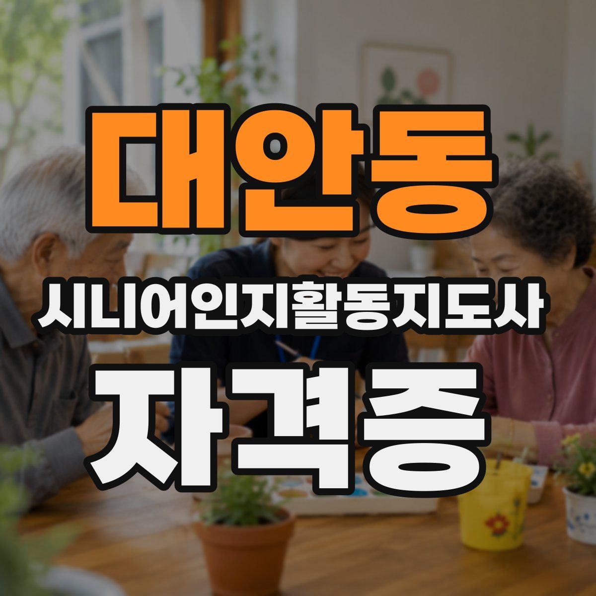 대안동 시니어인지활동지도사 자격증