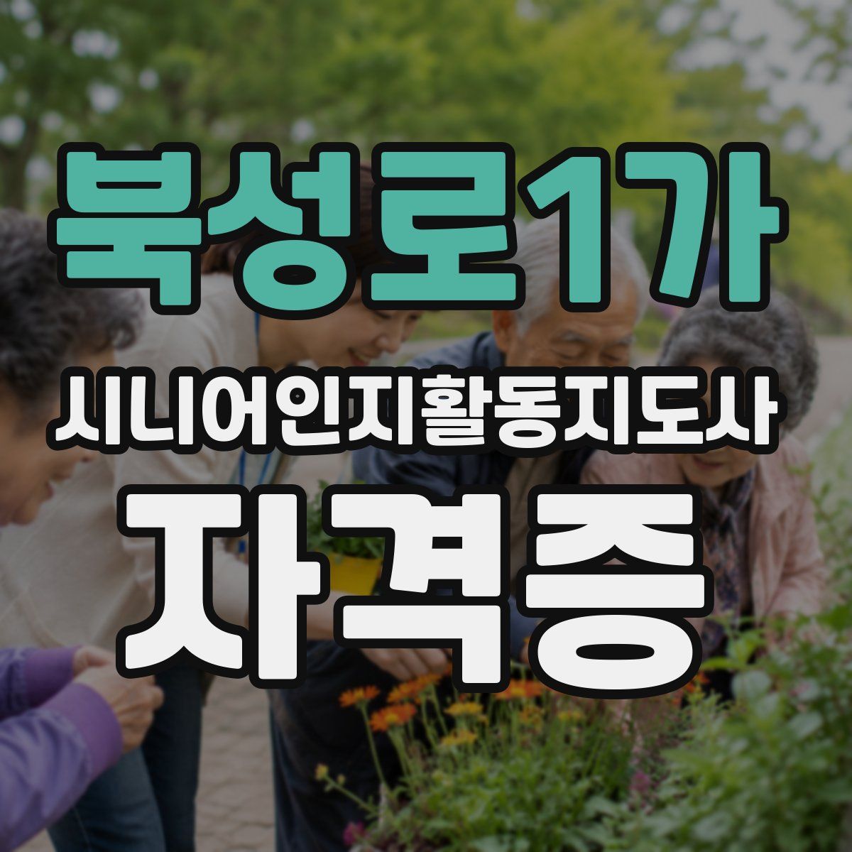 북성로1가 시니어인지활동지도사 자격증