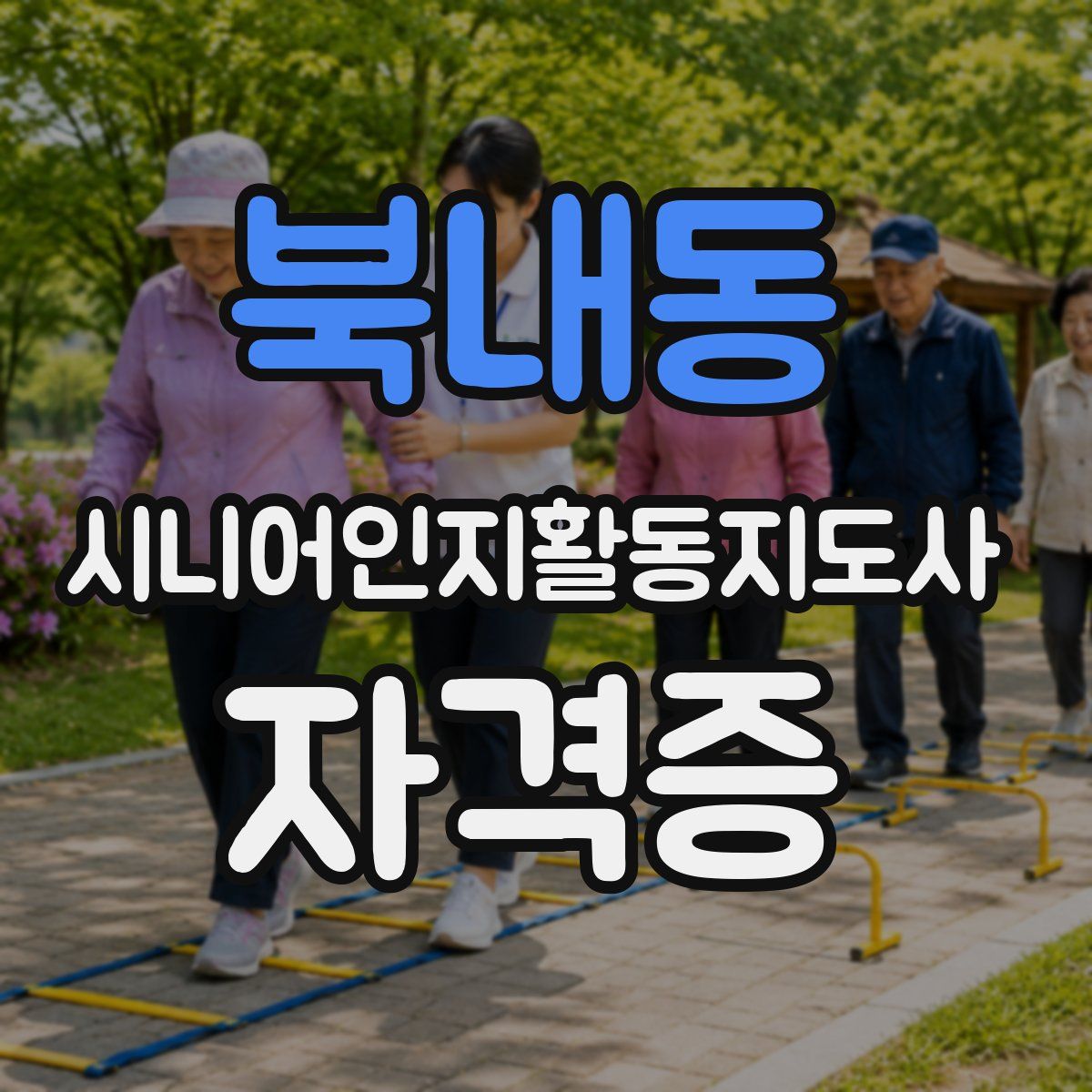 북내동 시니어인지활동지도사 자격증