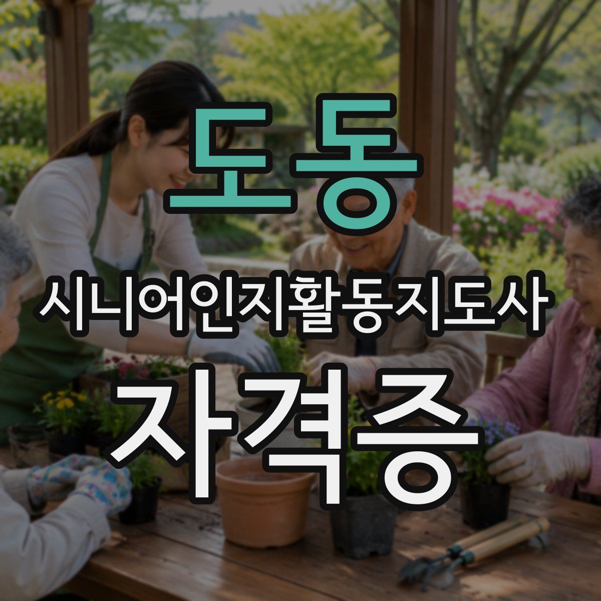 도동 시니어인지활동지도사 자격증