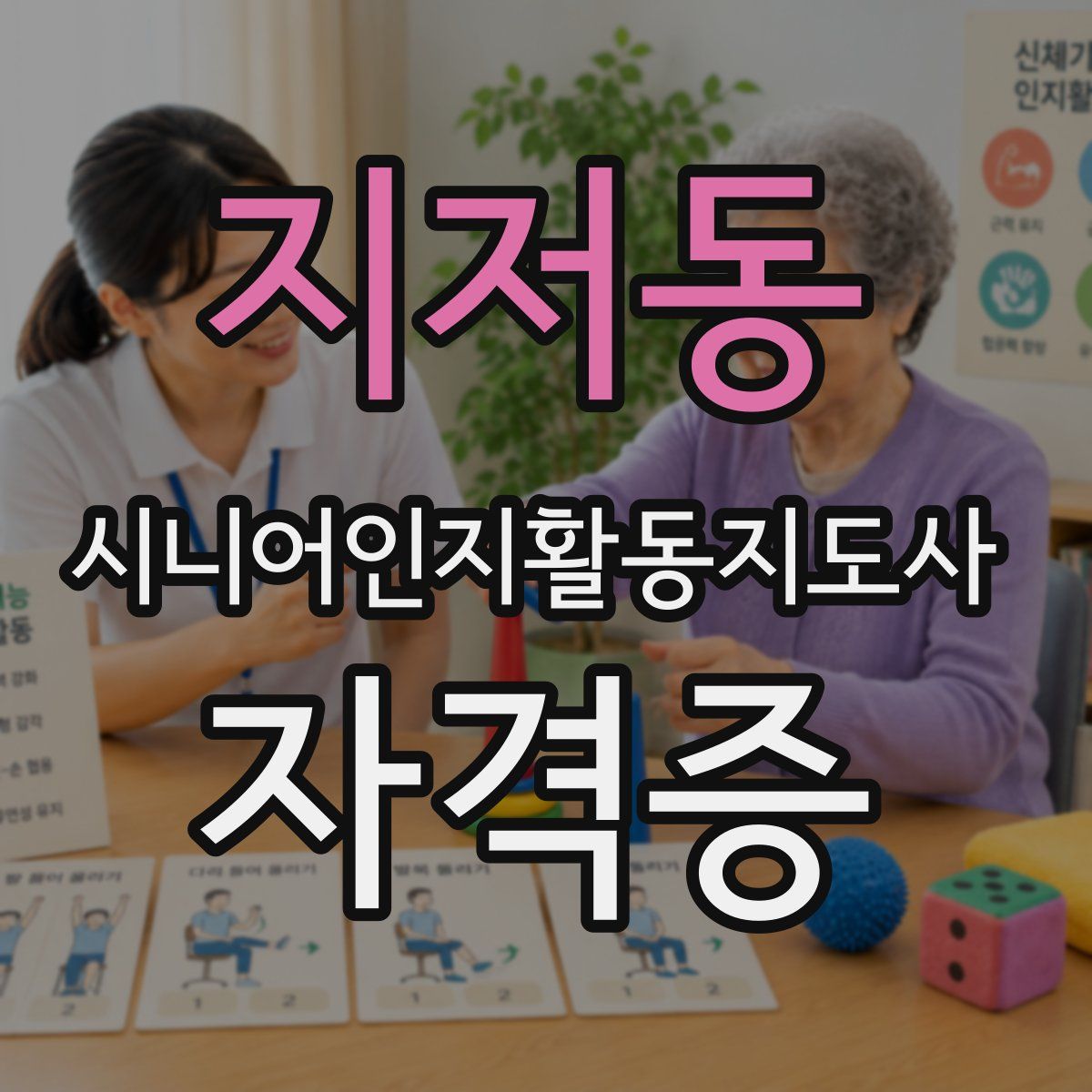 지저동 시니어인지활동지도사 자격증